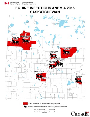 Map - Equine Infectious Anemia 2015, Saskatchewan. Description follows.