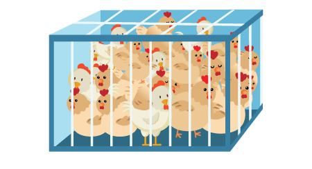 An example of a container with poultry inside to demonstrate it is too crowded.
