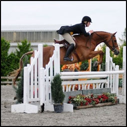 A photo of a horse and rider clearing a horse jump.