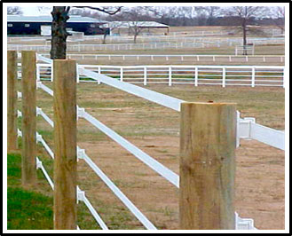 a picture of a horse paddock enclosed by a 5 strand electric tape fence. The strands are attached to large wooden posts using insulators to prevent grounding.