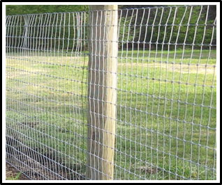 a picture of a fence made using galavanized metal mesh fence material attached to wooden posts.
