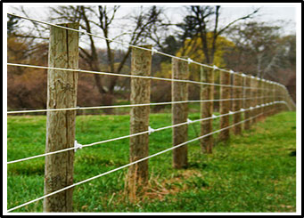 A picture of a horse fence made using metal strand wire coated in a polymer attached to wooden posts