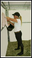 Photo d'une dame nettoyant et désinfectant les panneaux en plastique d'une stalle à chevaux.