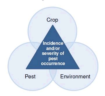 Figure 1: The Plant Pest Triangle. Description follows.