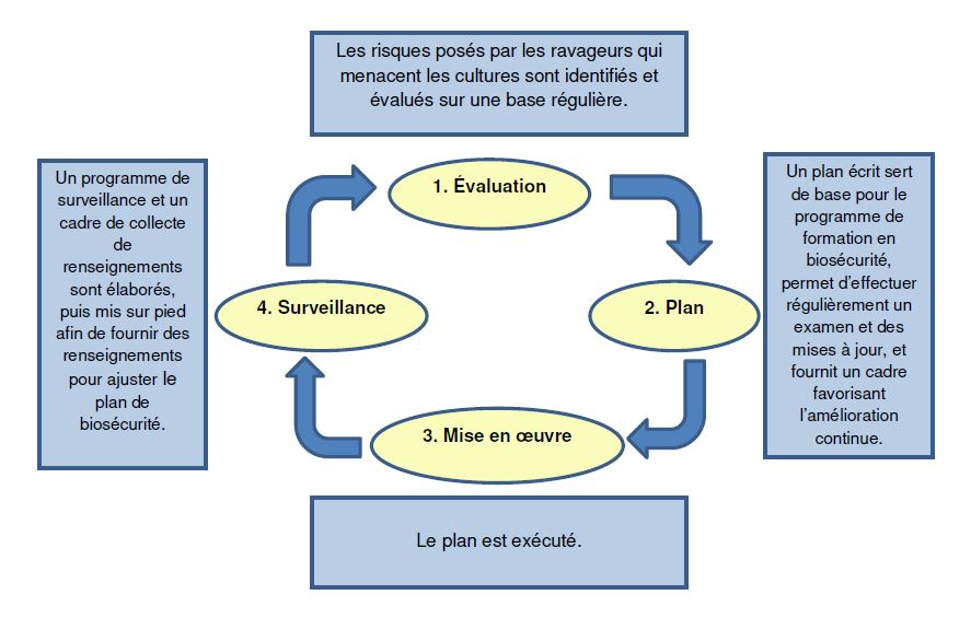 Figure 2 : Cycle des activités de biosécurité. Description ci-dessous.