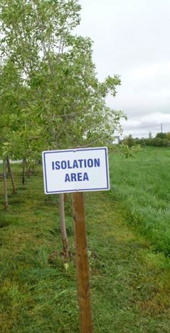 Zone d'isolation qui est placée sur un poteau devant une zone de production d'arbres.