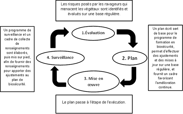 Figure 2 : Cycle des activités de biosécurité. Description ci-dessous.