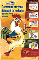 Image d'affiche : Notions de base sur la santé des oiseaux - Comment prévenir détecter la maladie dans les petits élevages et chez les oiseaux de compagnie