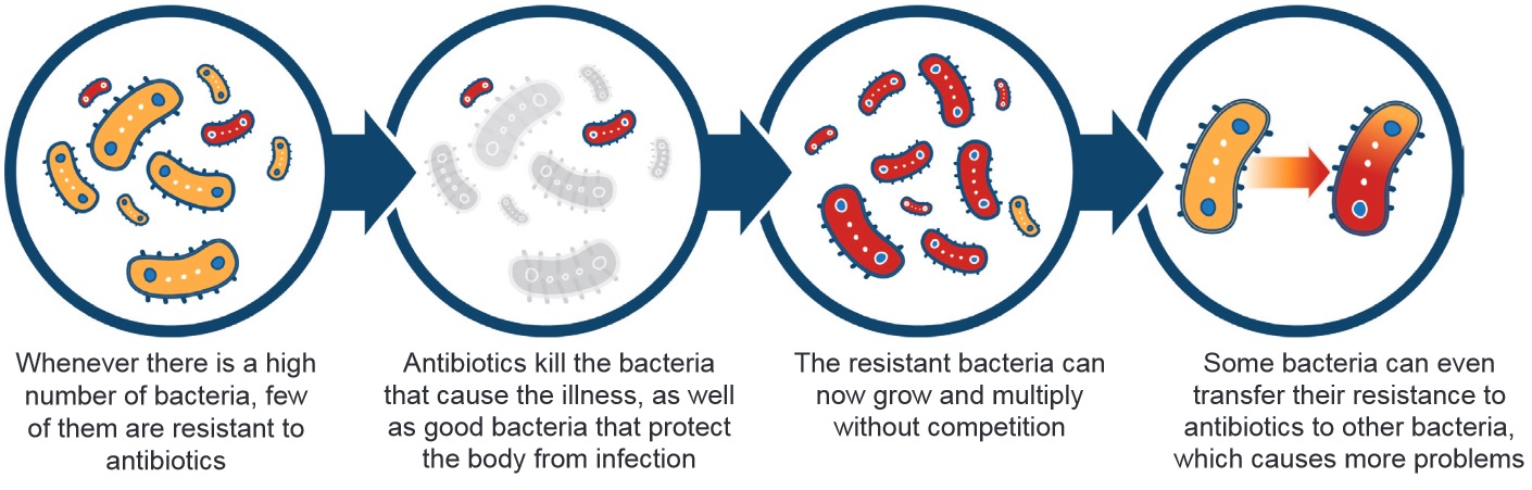 Antimicrobial resistance. Description follows.