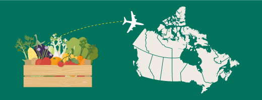 Food imports - Canadian Food Inspection 