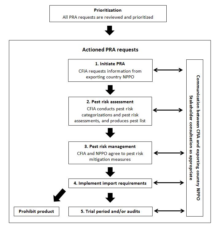 Flowchart - Actioned Pest Risk Analysis requests.