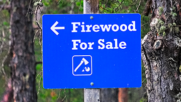 Don't move firewood