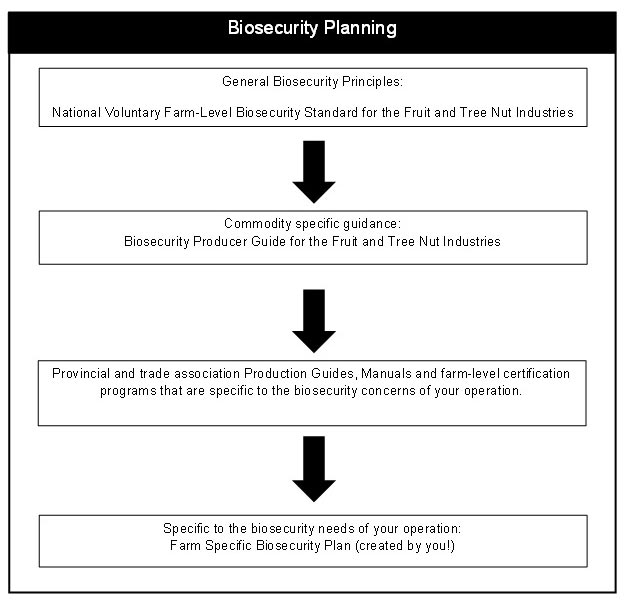 Flow chart of how the documents and tools referenced in this standard work together to help you develop your biosecurity plan. Description follows.