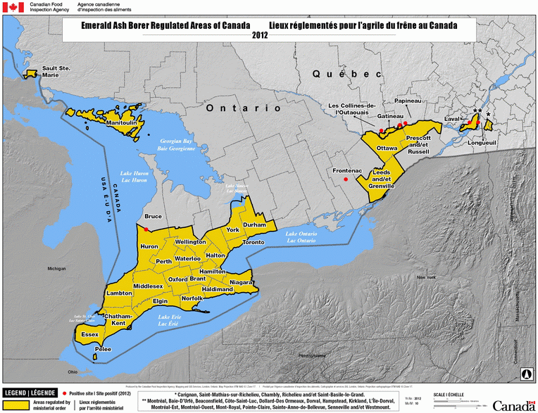 Régions réglementées à l'égard de l'agrile du frêne au Canada en date de mars 2013. Description ci-dessous.