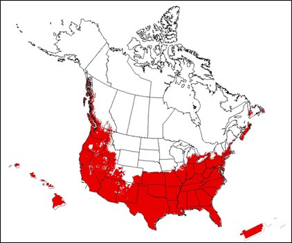 Figure 1. Predicted distribution of Arundo donax in Canada and the United States. Description follows.