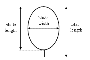 Diagram – mustard and canola leaf. Description follows.